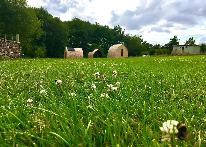 Alder Pod, Clay Bank Huts